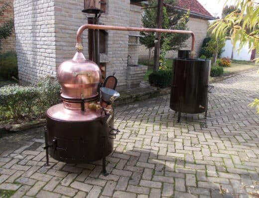 rumen stil rumenka stanic